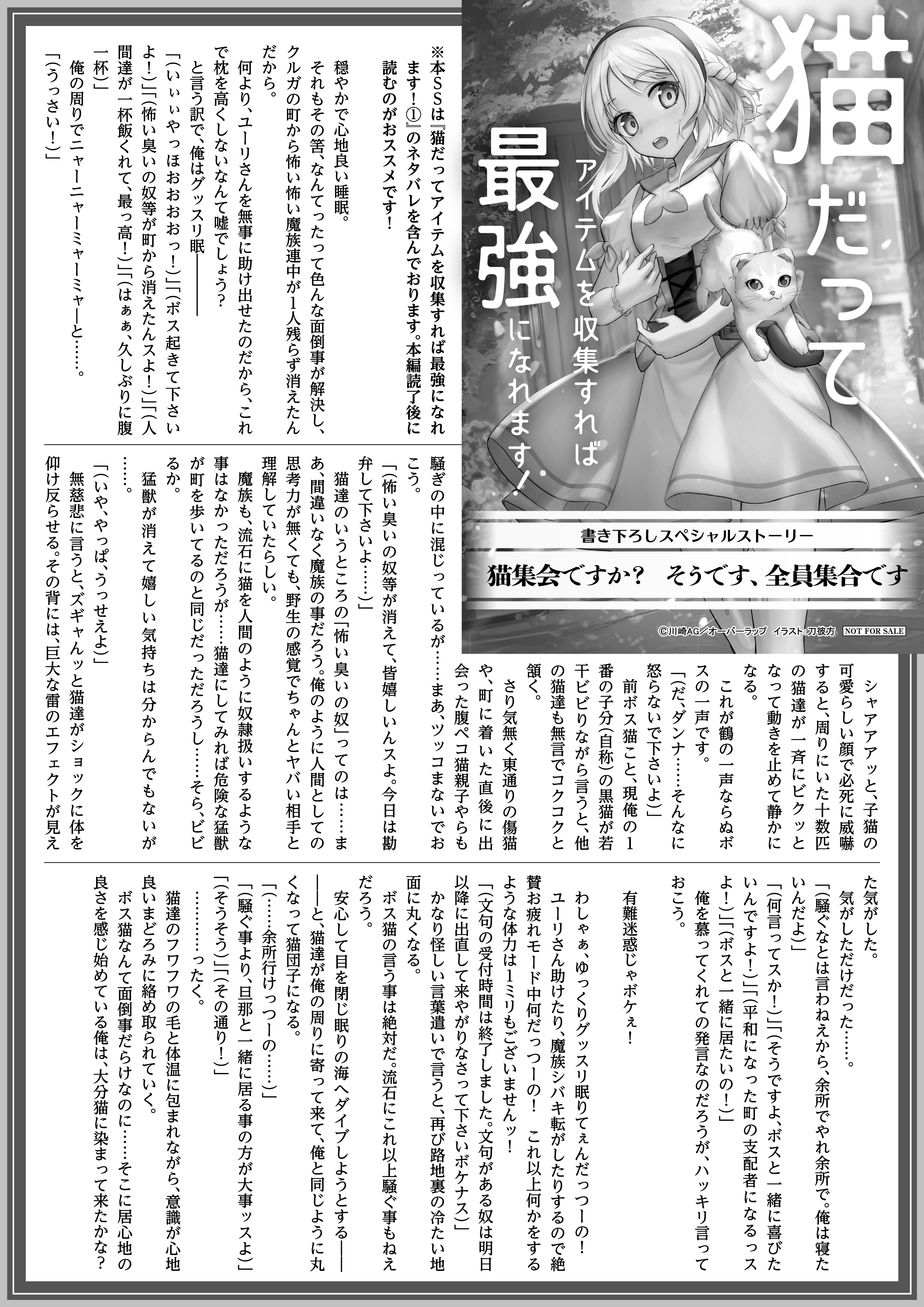 【ノベルス】「猫だってアイテムを収集すれば最強になれます！ 1」A4SSペーパー